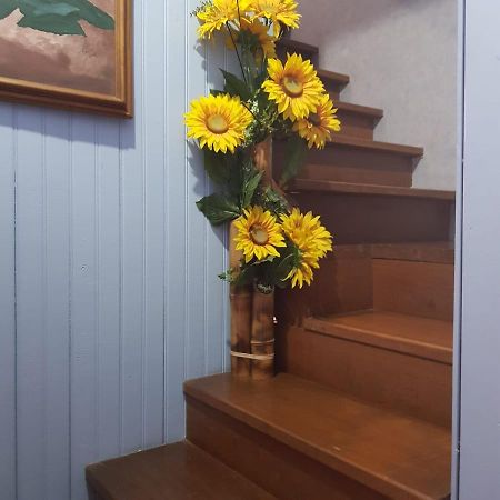 Pousada Vo Aia เซาโจอากิง ภายนอก รูปภาพ